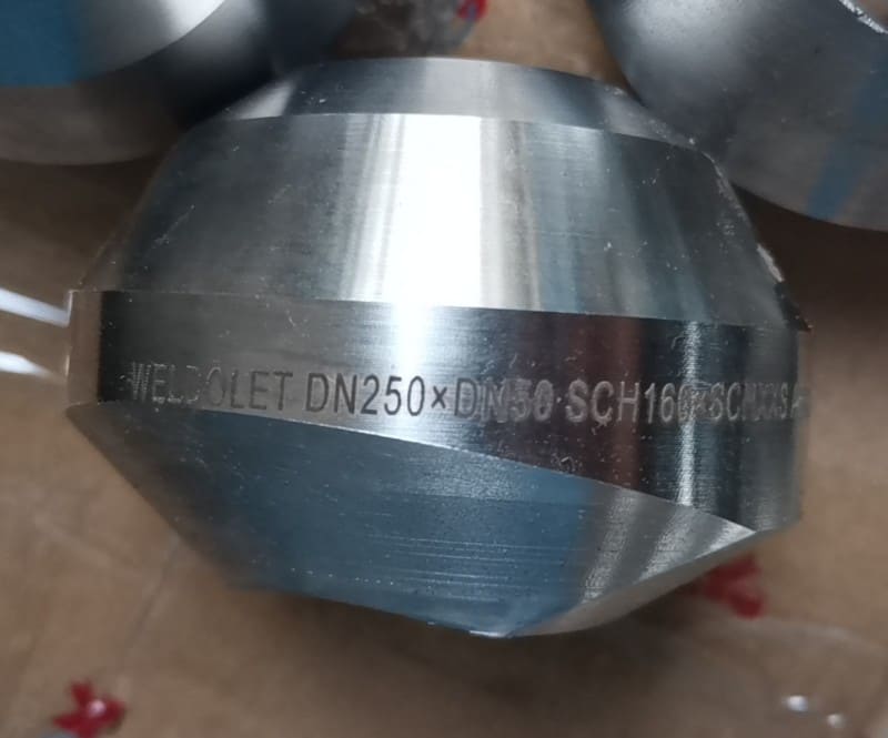 MSS SP-97 Weldolet Fittings Stainless Steel Weldolet