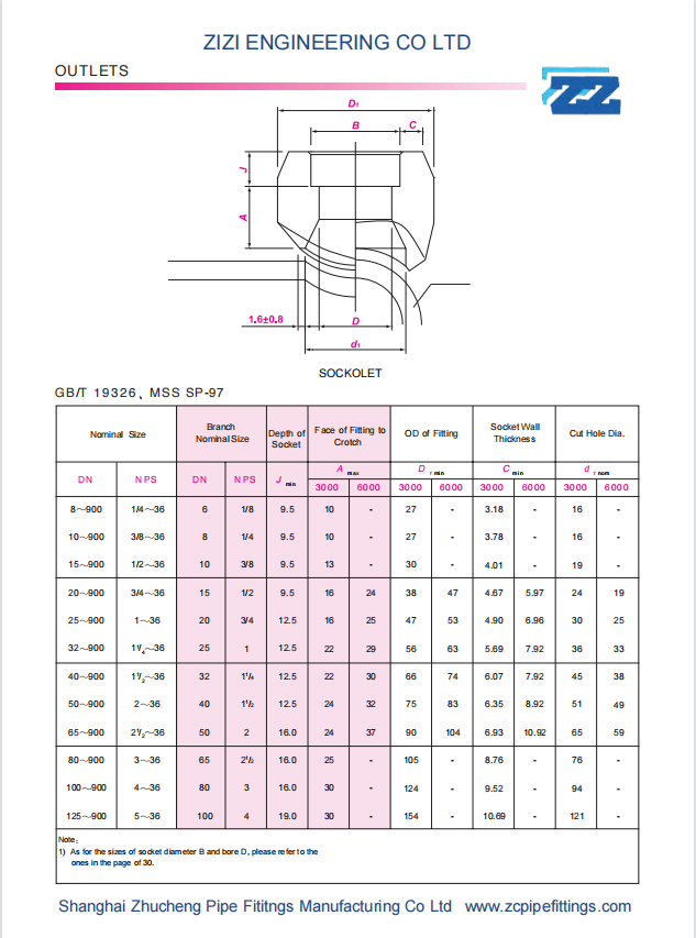 ASTM A182 F304L Stainless Steel Socket Weld Outlet MSS SP 97